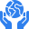 developer